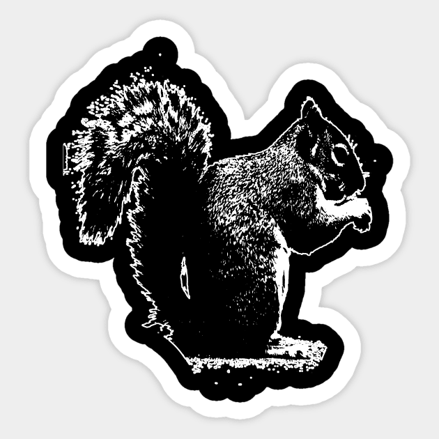 squirrel Sticker by bilaltepong